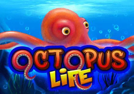 Octopus Life