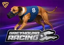 8 Greyhound Racing