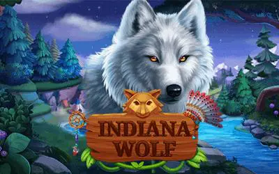 Indiana Wolf - Spin City - Namibia