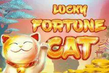 Lucky Fortune Cat