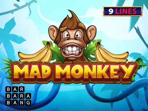 Mad Monkey - Spin City - Namibia