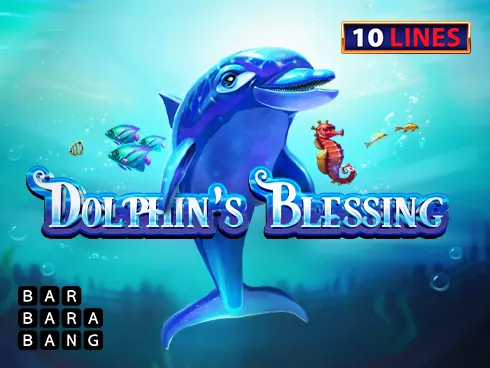 Dolphin's Blessing - Spin City - Namibia