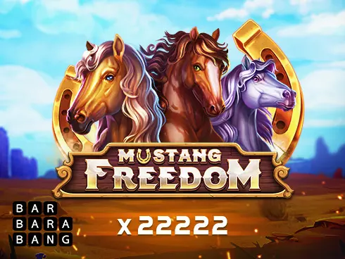 Mustang Freedom - Spin City - Namibia