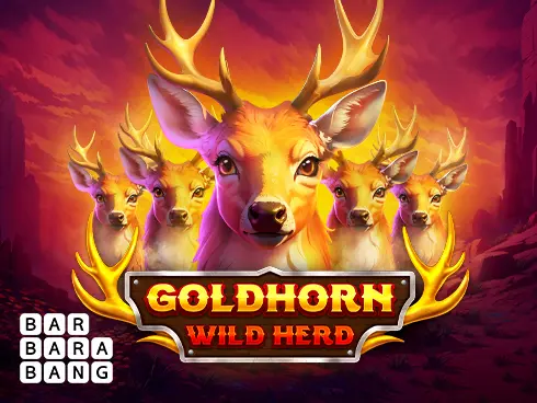 Goldhorn Wild Herd - Spin City - Namibia