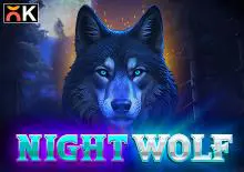 Night Wolf - Spin City - Namibia