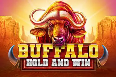 Buffalo Hold and Win - Spin City - Namibia
