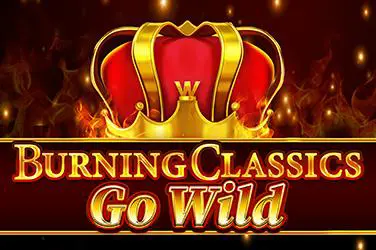 Burning Classics Go Wild - Spin City - Namibia