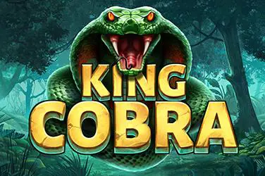 King Cobra - Spin City - Namibia