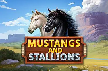 Mustangs and Stallions