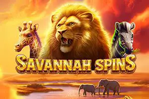 Savannah Spins - Spin City - Namibia