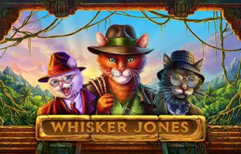 Whisker Jones - Spin City - Namibia