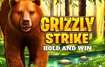 Grizzly Strike - Spin City - Namibia