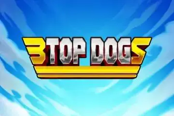 3 Top Dogs 95 - Spin City - Namibia