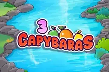 3 Capybaras 95 - Spin City - Namibia