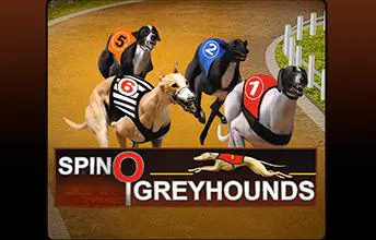 Spinosports:Greyhounds - Spin City - Namibia