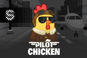 Pilot Chicken - Spin City - Namibia