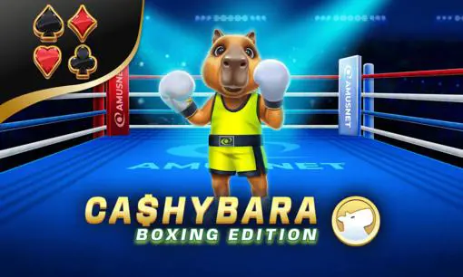 Cashybara Boxing Edition - Spin City - Namibia