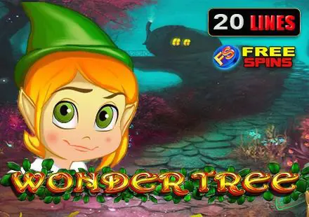 Wonder Tree - Spin City - Namibia