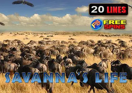 Savanna's Life - Spin City - Namibia