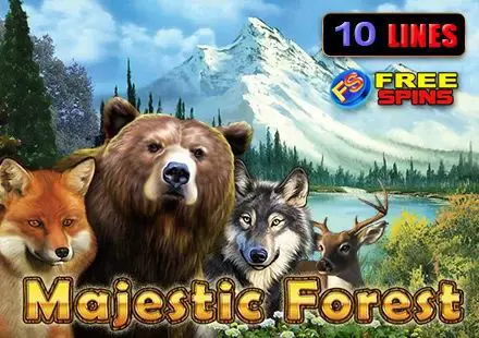 Majestic Forest - Spin City - Namibia