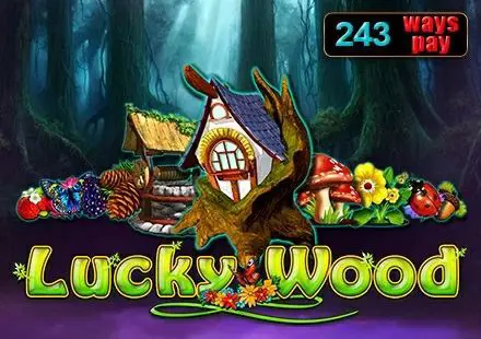 Lucky Wood - Spin City - Namibia
