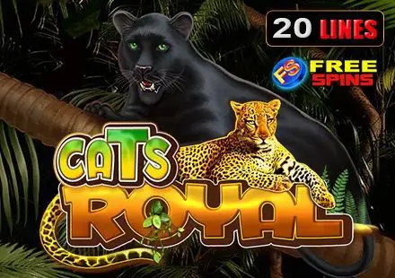 Cats Royal - Spin City - Namibia