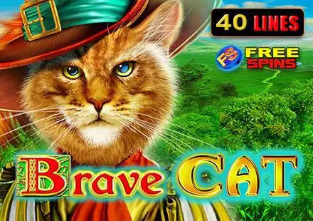 Brave Cat - Spin City - Namibia