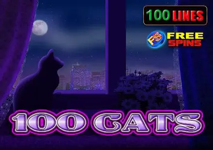 100 Cats - Spin City - Namibia