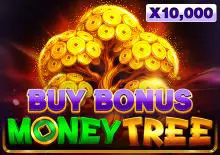 Money Tree Buy Bonus - Spin City - Namibia