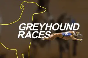vDogs (Grayhound races) - Spin City - Namibia