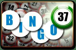 Bingo 37 - Spin City - Namibia