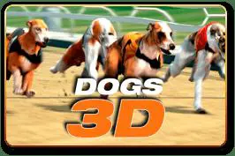 Dogs 3D - Spin City - Namibia