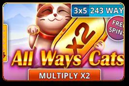 All Ways Cats - Spin City - Namibia