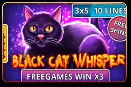 Black Cat Whisper - Spin City - Namibia