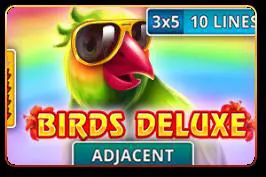 Birds Deluxe - Spin City - Namibia