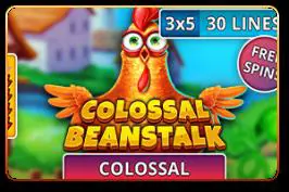Colossal Beanstalk - Spin City - Namibia
