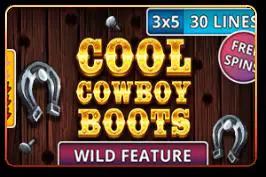 Cool Cowboy Boots - Spin City - Namibia
