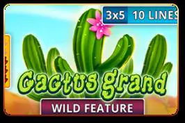 Cactus Grand - Spin City - Namibia