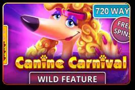 Canine Carnival - Spin City - Namibia