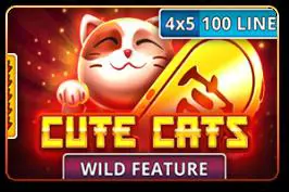 Cute Cats - Spin City - Namibia