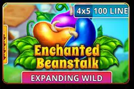 Enchanted Beanstalk - Spin City - Namibia
