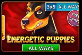 Energetic Puppies - Spin City - Namibia