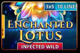 Enchanted Lotus - Spin City - Namibia