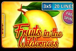 Fruits in the Wilderness - Spin City - Namibia