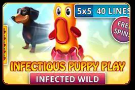 Infectious Puppy Play - Spin City - Namibia