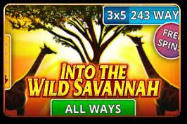 Into the Wild Savannah - Spin City - Namibia