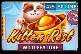 Kitten Rest - Spin City - Namibia