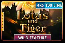 Lotus and Tiger - Spin City - Namibia
