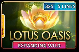 Lotus Oasis - Spin City - Namibia