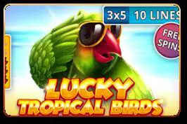 Lucky Tropical Birds - Spin City - Namibia